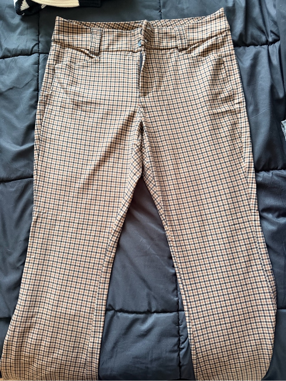 torrid Brown and Black plaid pants